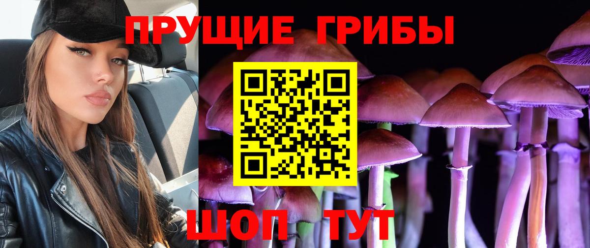 Псилоцибиновые грибы Psilocybine cubensis  Галлюциногенные грибы мицелий  где купить наркотик  Вход с VPN  Гай 
